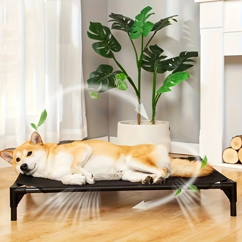Cooling Elevated Dog Bed - Rai - đánh giá và giá Outdoor Daybed Sofa