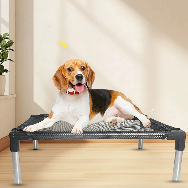 Cooling Elevated Dog Bed - Rai - đánh giá và giá Outdoor Daybed Sofa