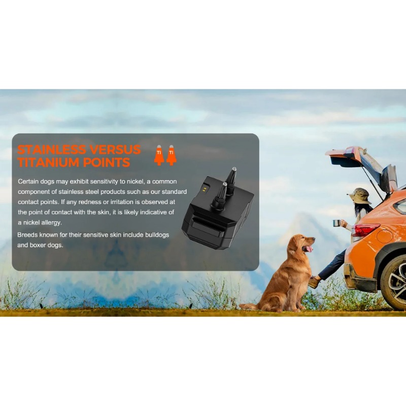 2025 Chip GPS Pet Electric Dog - đánh giá và giá Outdoor Furniture Plus